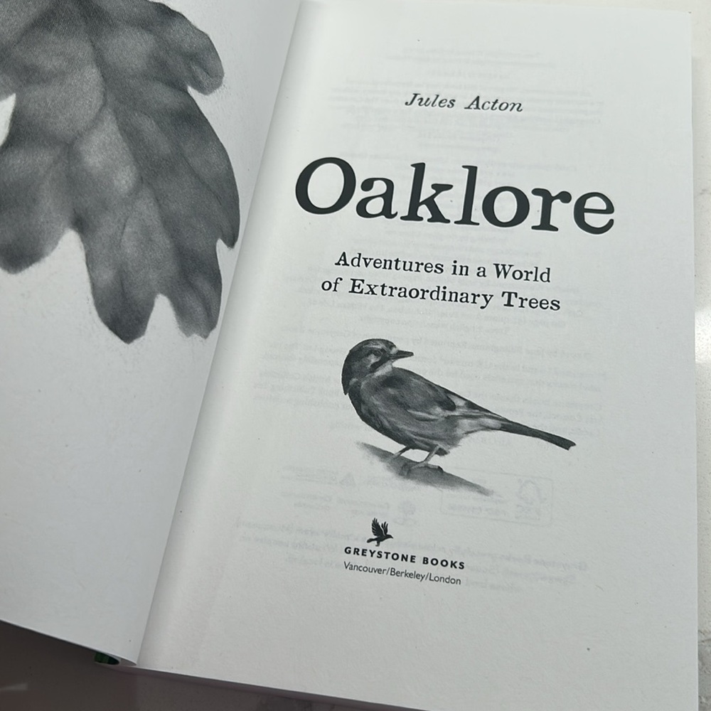 🌻4/$20 Oaklore Adventures Book by Jules Acton Paperback Edition 2024 - Picture 9 of 12